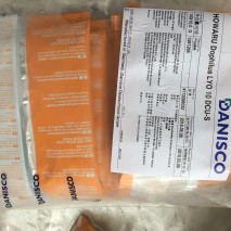 丹尼斯克 益生菌 嗜酸乳桿菌NCFM